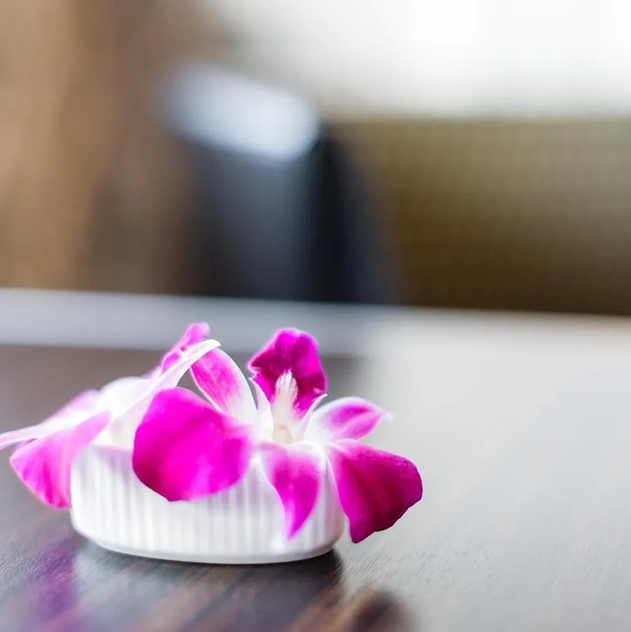 Hotels & Resort Feel 横浜市